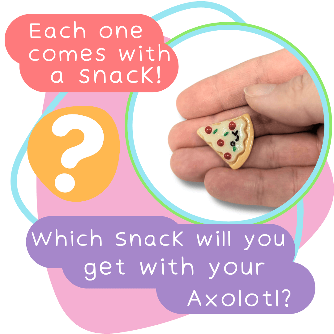 Squishy-Snacks-Alotl_8379_4