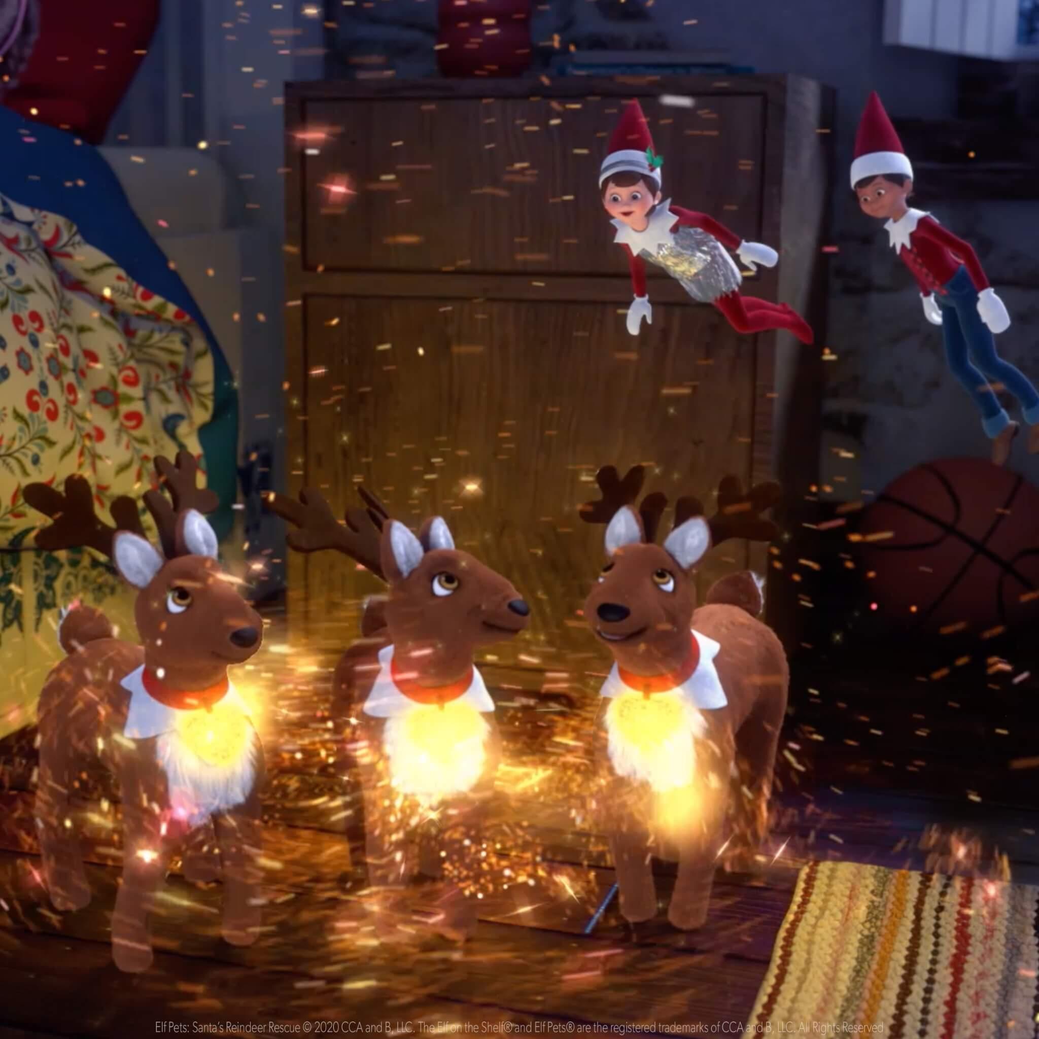 Elf Pets®: Santa's Reindeer Rescue DVD - The Elf on The Shelf